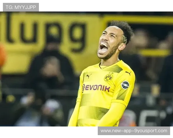 多特蒙德发布引援清单，荷兰火线人选进入视野